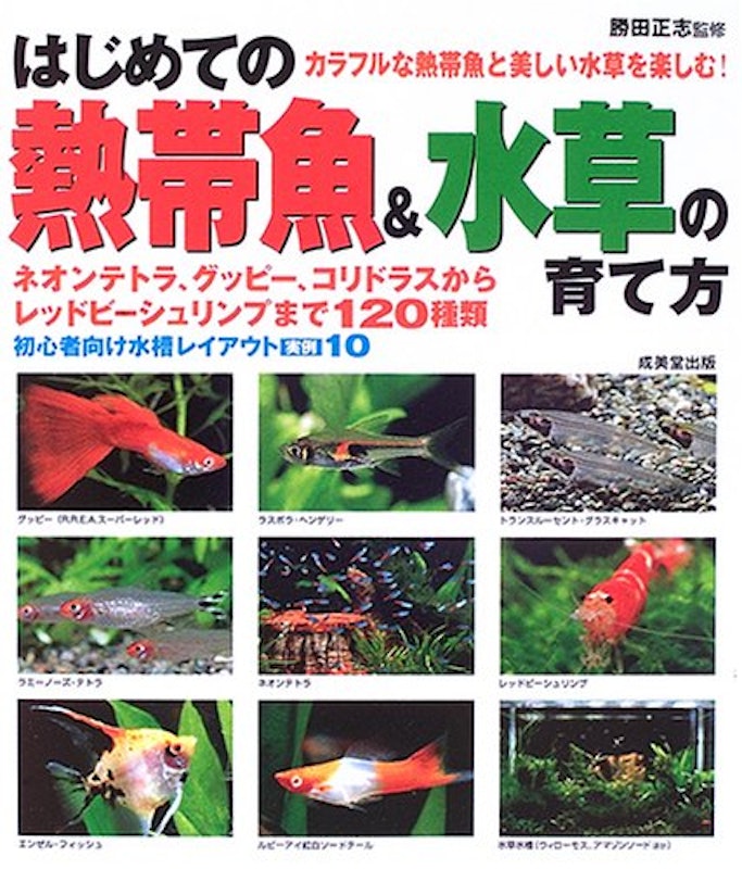 22年 熱帯魚図鑑のおすすめ人気ランキング10選 Mybest 22年 熱帯魚図鑑のおすすめ人気ランキング10選 Mybest
