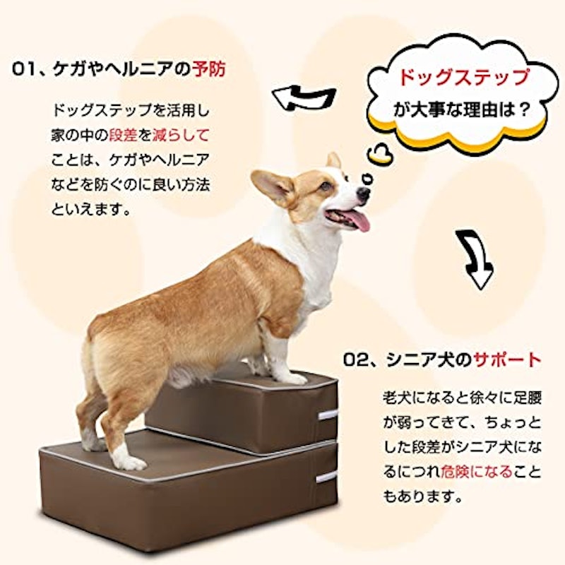 RAKU ドッグステップ 2