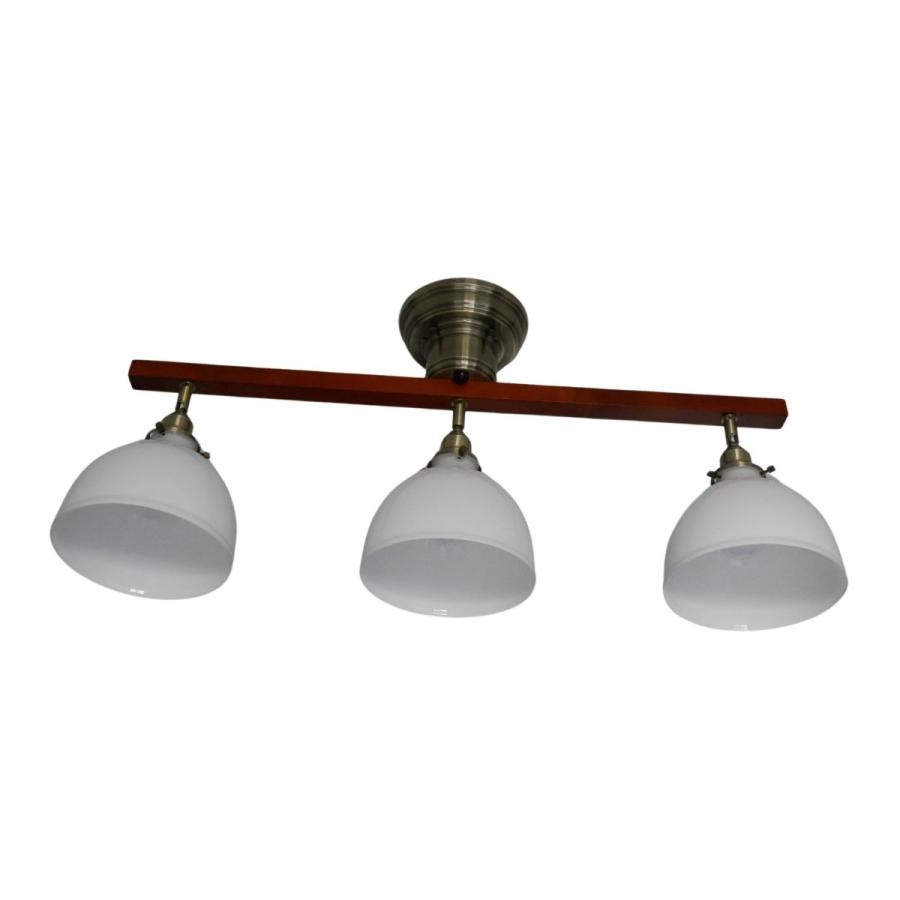CEILING SPOTLIGHT  3