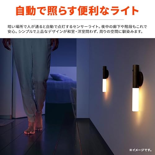ナイトライト 2