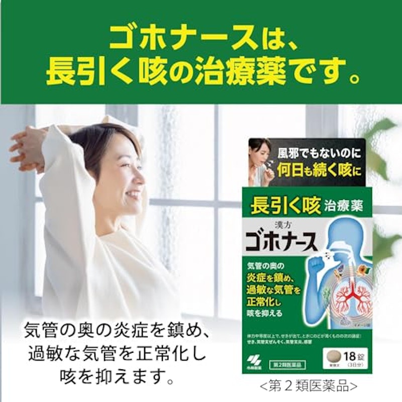 ゴホナース 3