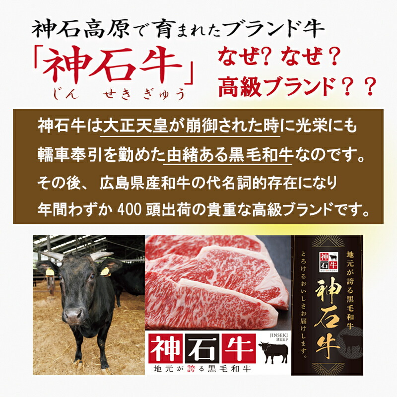 神石牛カレー 3