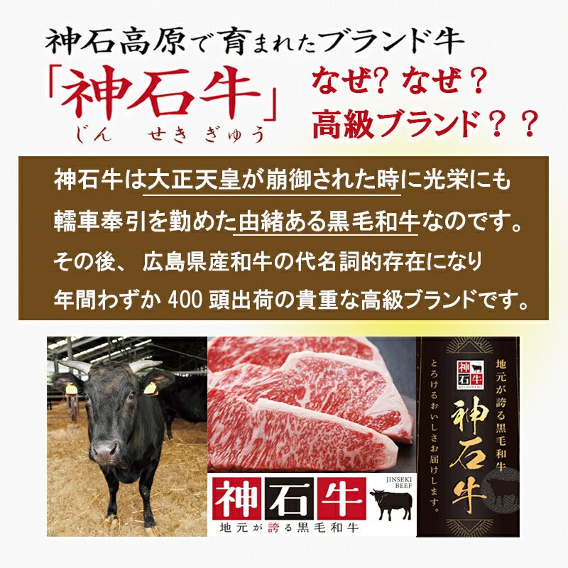 神石牛カレー 3