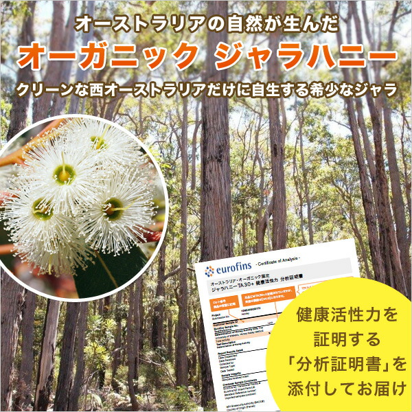 ジャラハニー TA 20+ 4