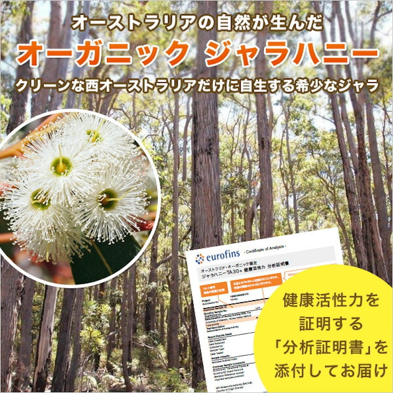 ジャラハニー TA 20+ 4