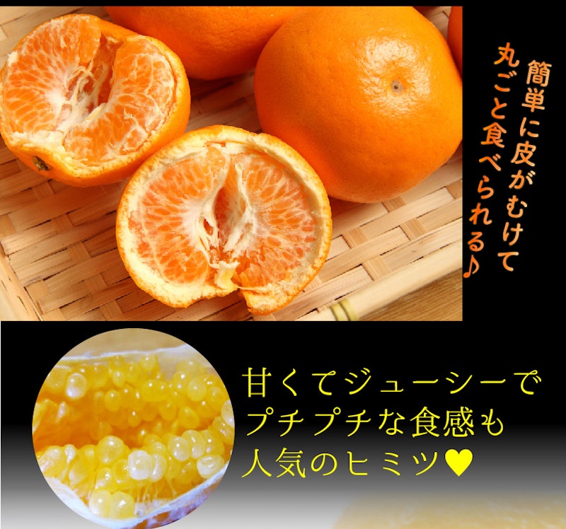 はるみ 訳あり 3