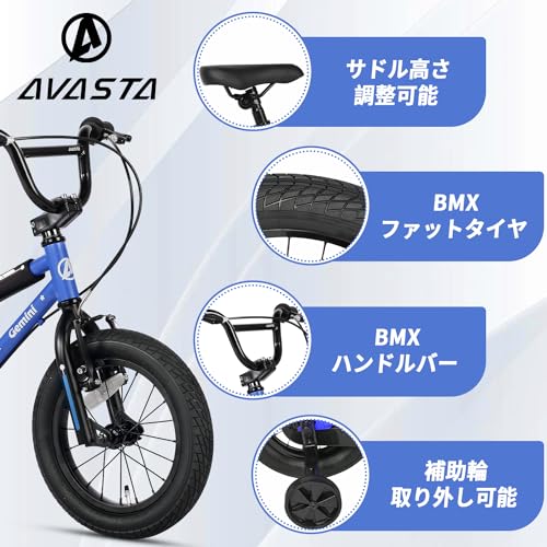 AVASTA Gemini 3