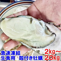 生食用冷凍牡蠣 殻付き 1