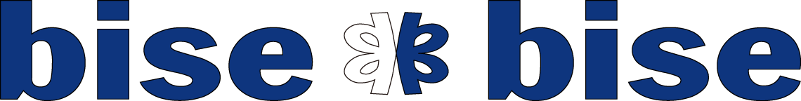 ニキビケア メンズbisebise 1