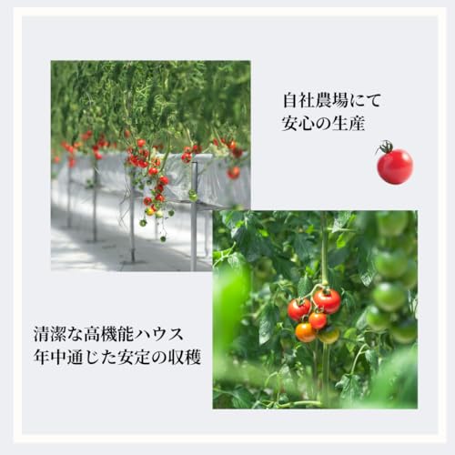 HANAYOSHINO 5