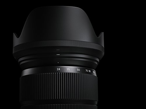 24-105mm F4 DG OS HSM Art 5