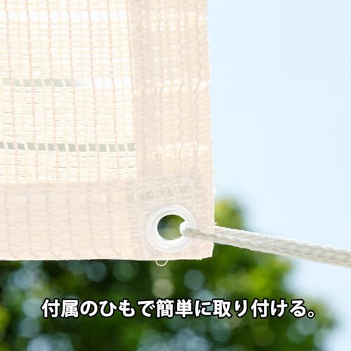 サンシェード 3