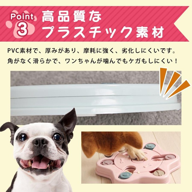 ノーズワーク 4