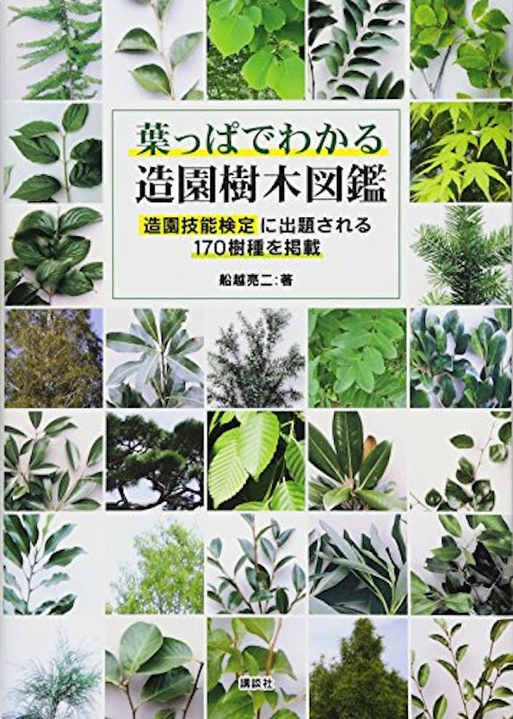 葉っぱでわかる造園樹木図鑑 1