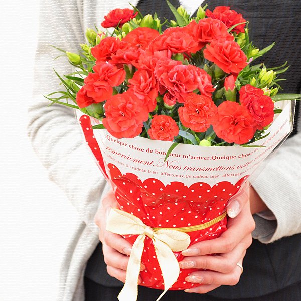 1254円 超歓迎 ミニバラ ローゼスｓ バラの鉢植え 花色が選べる 誕生日 お祝い