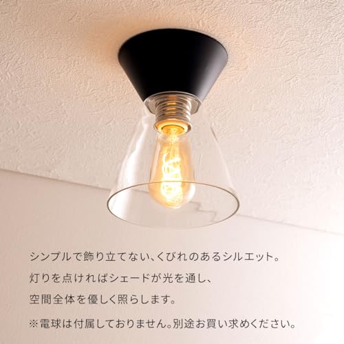 シーリングライト 3