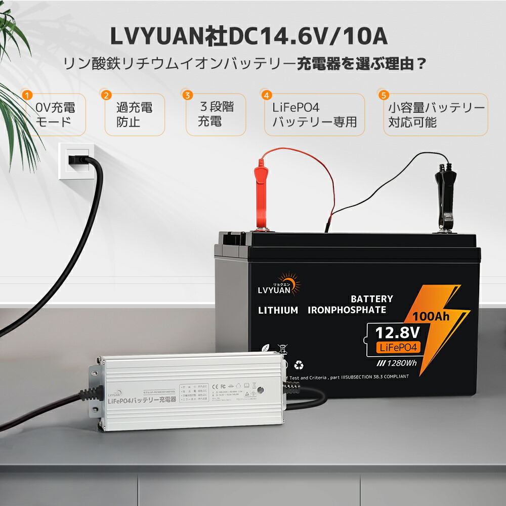LiFePO4 リチウムイオンバッテリー専用充電器 5