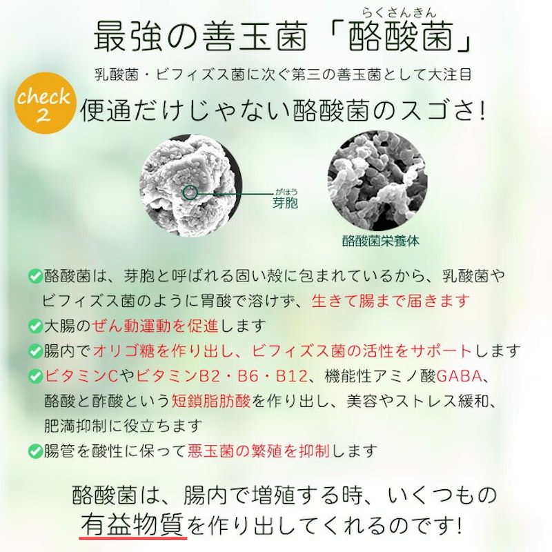 酪酸菌が入ったおなかの青汁 6