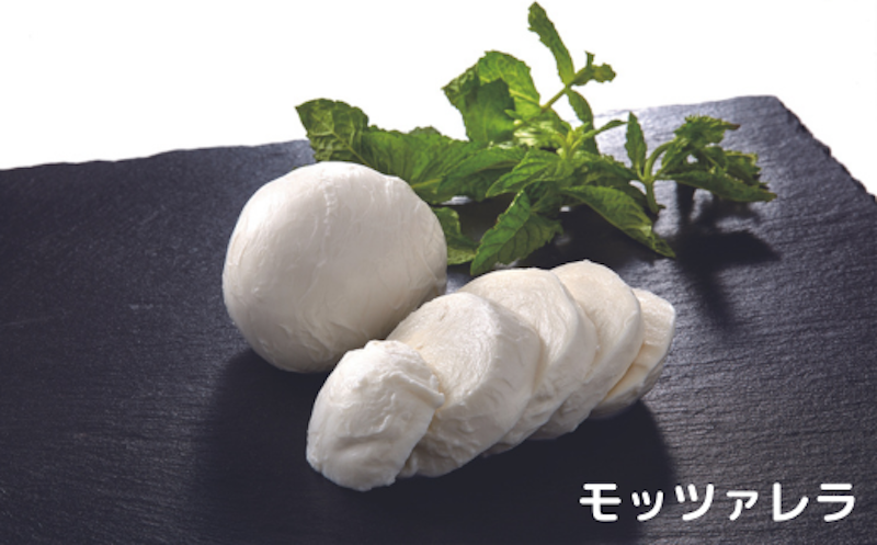 ひたちおおたチーズ工房 ナチュラルチーズ4種セット 3