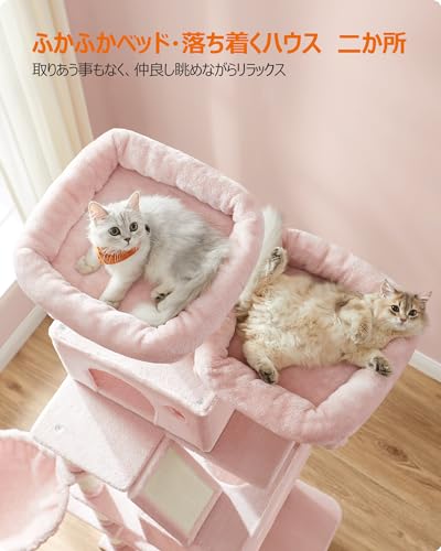 【M2521-100-67】キャットタワー 大型猫用 猫タワー　耐荷重20kg M2521-100-67】 大型猫用 猫タワー 耐荷重20kg 大型猫向けのキャット