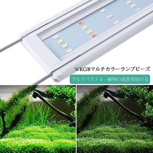 フルスペクトル水槽照明LEDライト 4
