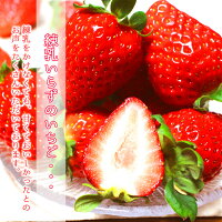 完熟まりひめ 超大粒 4