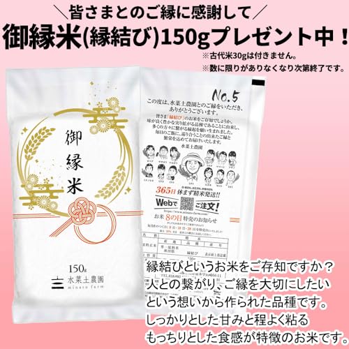 あきたこまち 2