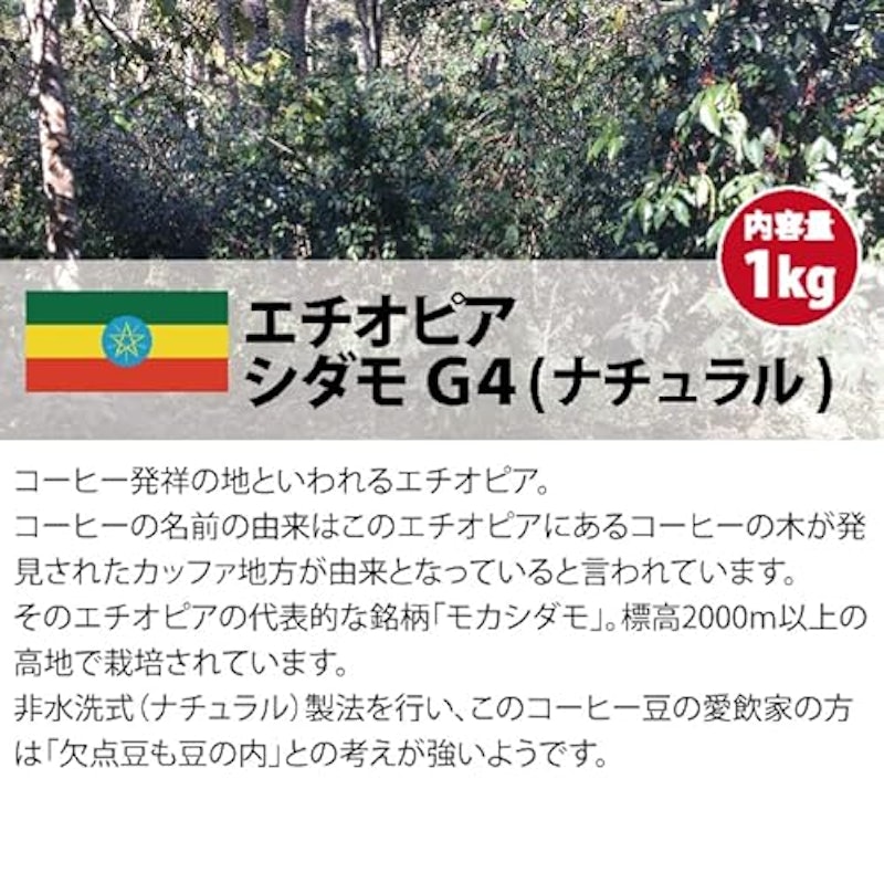 コーヒー生豆 2