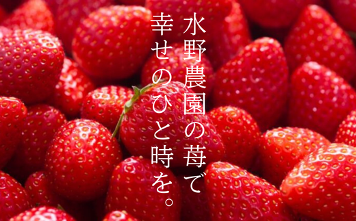 完熟朝摘み あまりん 2