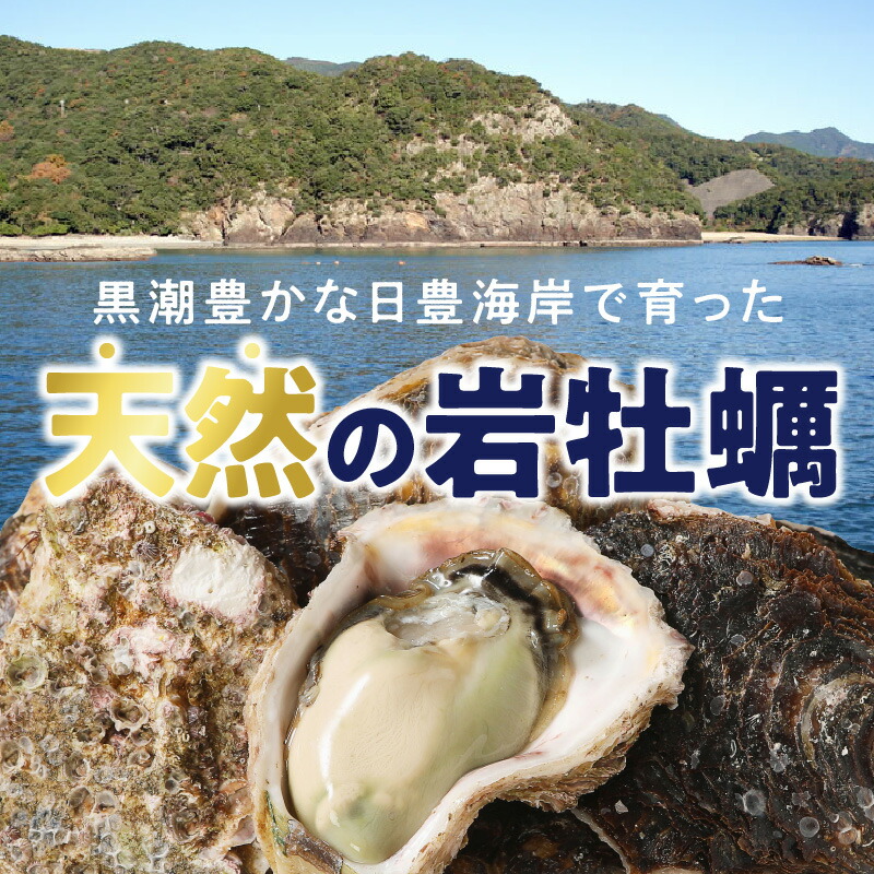 延岡産天然岩牡蠣 2