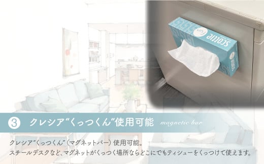 スコッティ ティシュー ファン 6