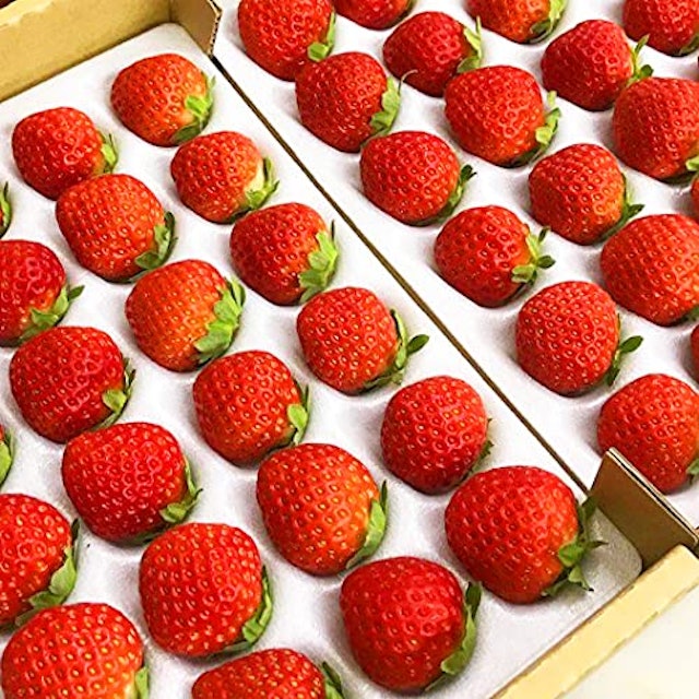 21年 贈答用いちごのおすすめ人気ランキング10選 Mybest 21年 贈答用いちごのおすすめ人気ランキング10選 Mybest