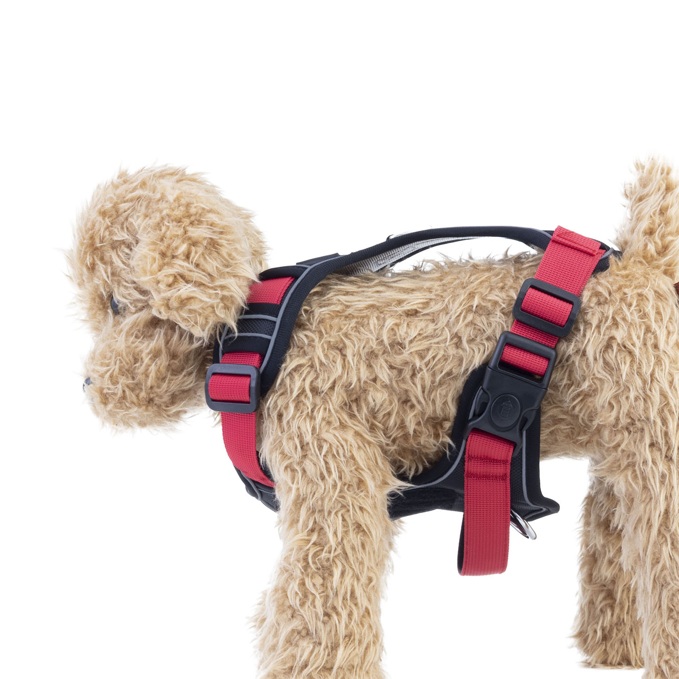 犬用ハーネスセット 5