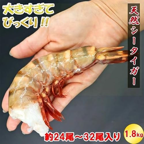 天然シータイガー 6