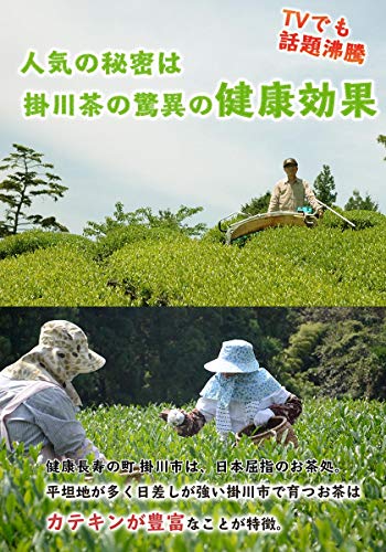 茶和家 秋番茶 5