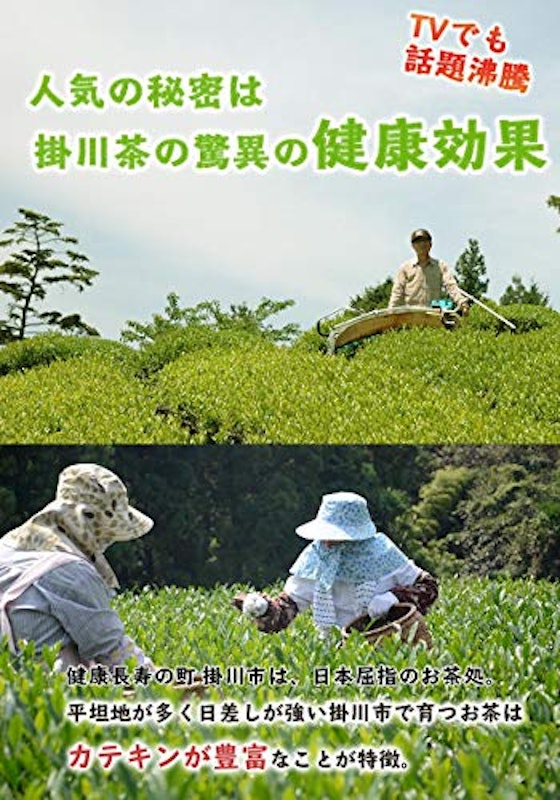 茶和家 秋番茶 5