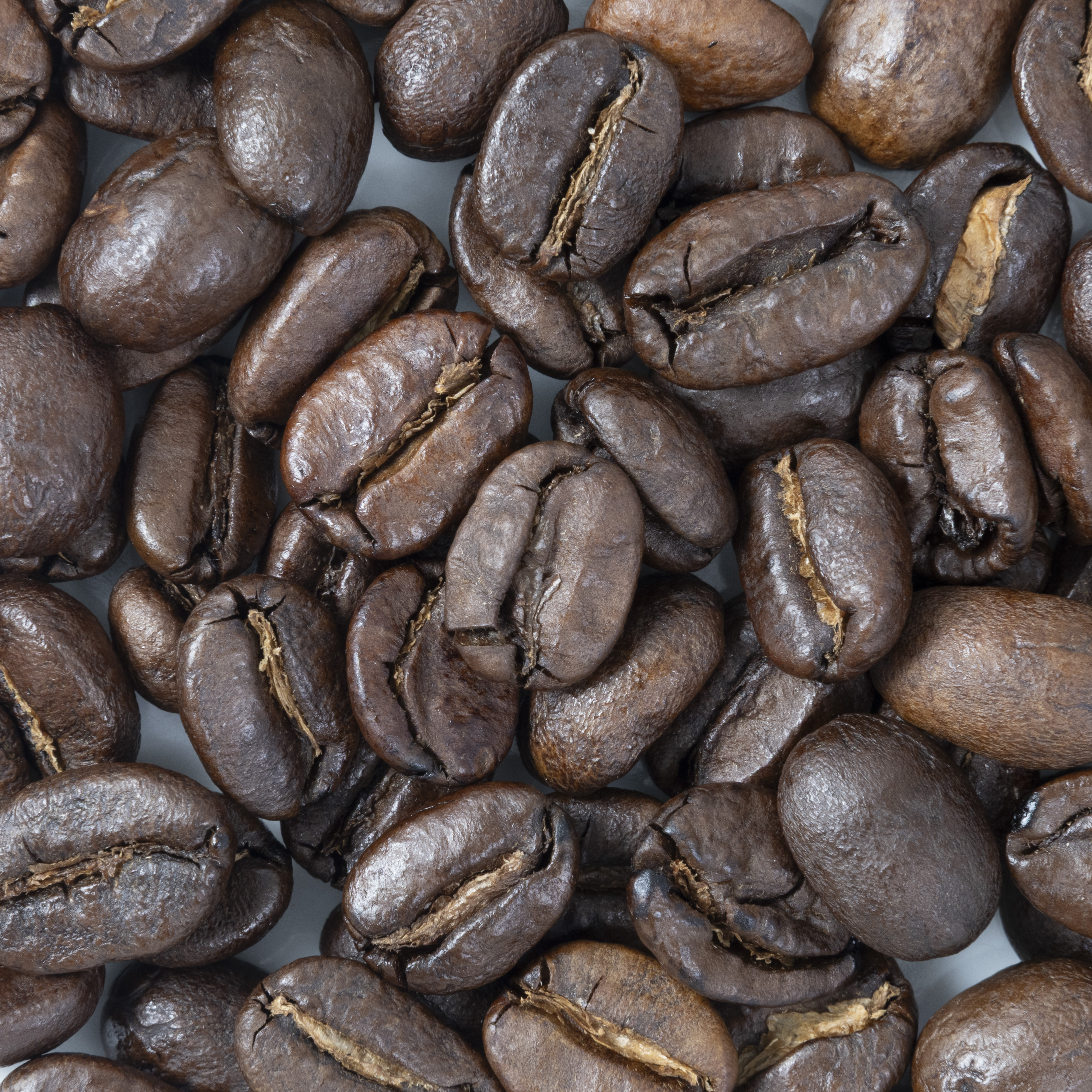 ローグトレード 東京コーヒー オーガニック コーヒー ブレンド TOKYO COFFEE BLEND クチコミ評価・評判&検証レビュー 2