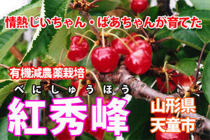 さくらんぼ 3