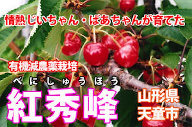 さくらんぼ 3