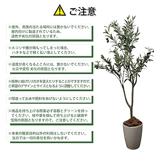 フェイクグリーン 8
