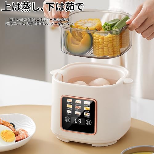 電気蒸し器 2