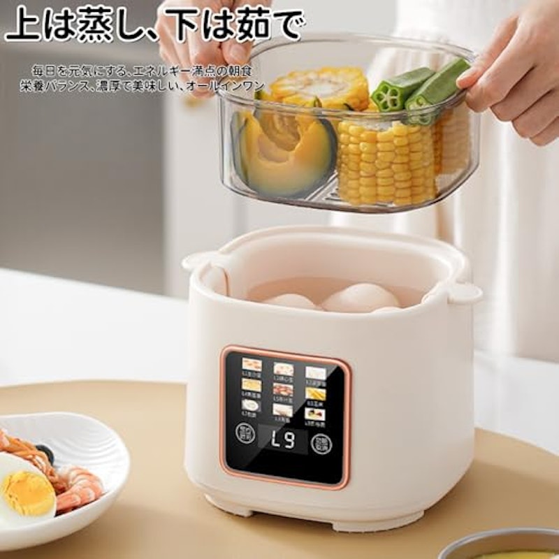 電気蒸し器 2