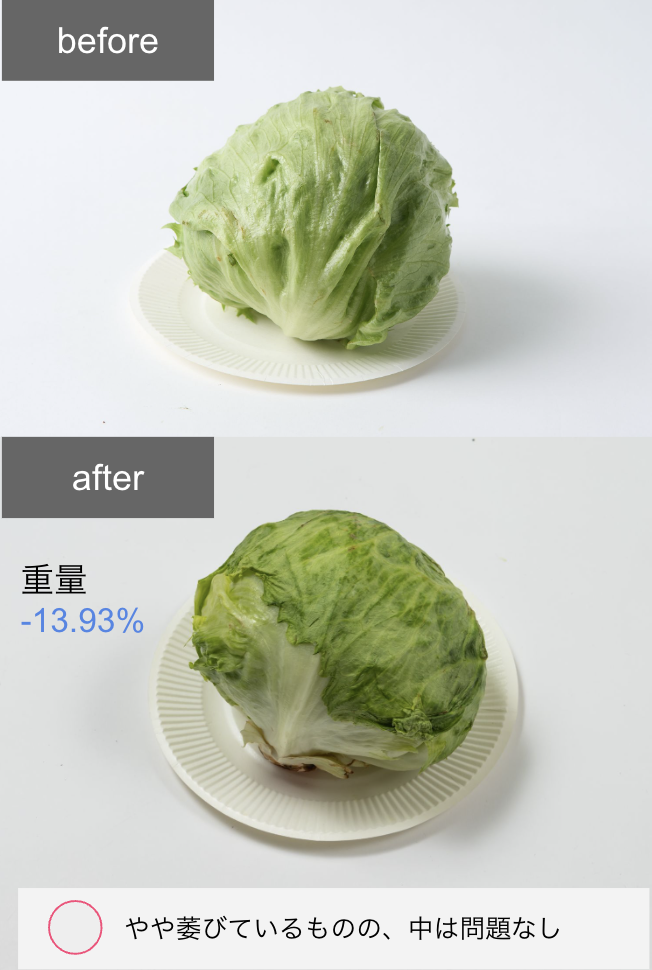 冷凍冷蔵庫 10