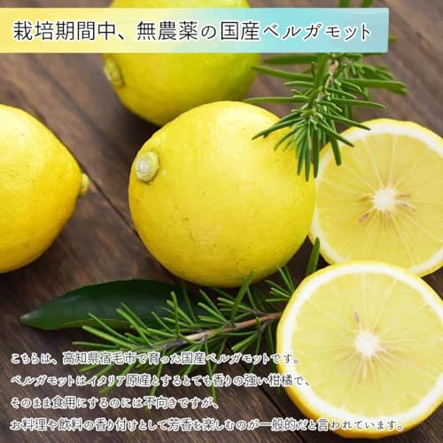 無農薬みかんのおすすめ人気ランキング【2026年5月】 | マイベスト