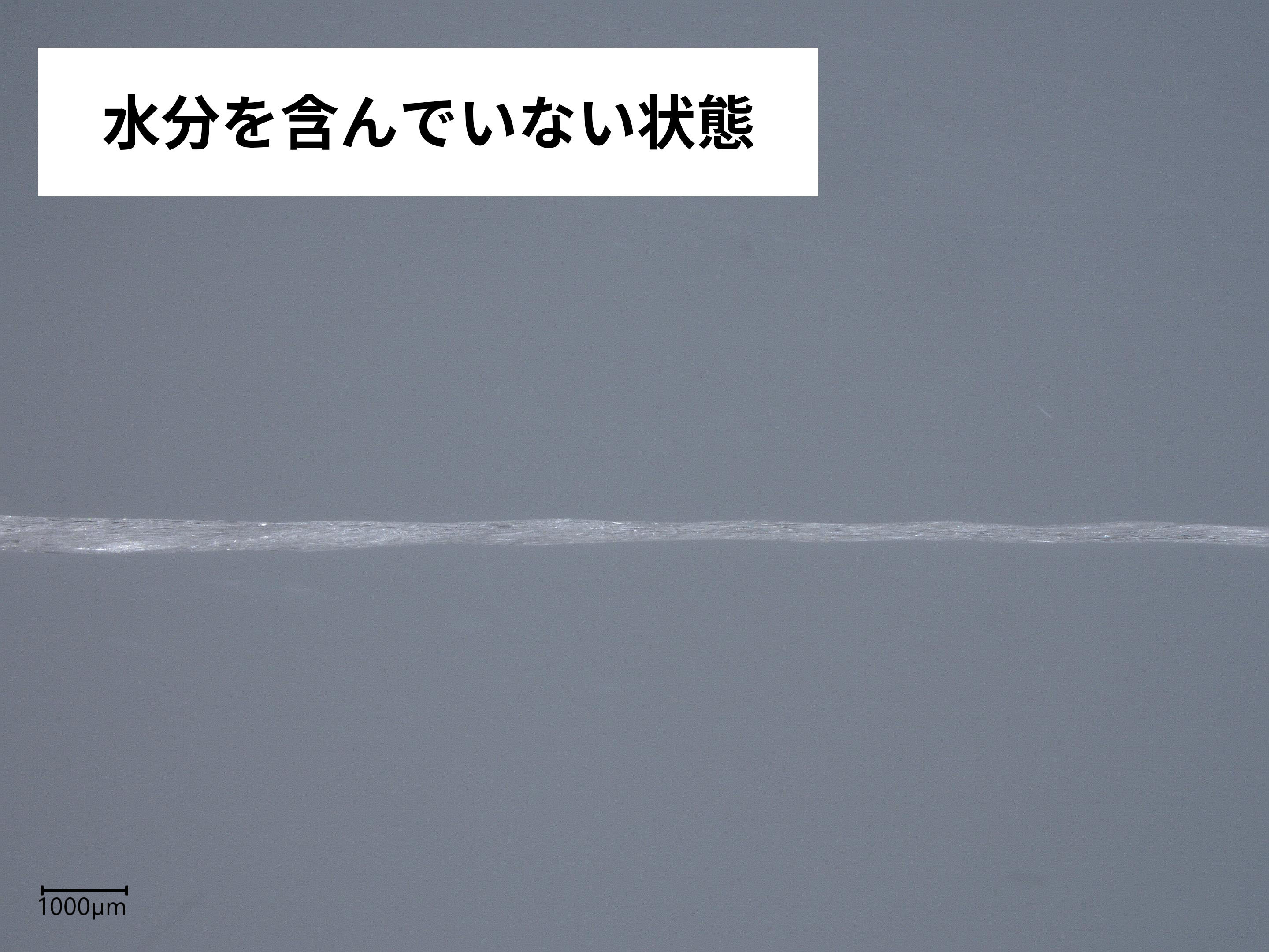 デンタルフロス オリジナル ボンディング 3