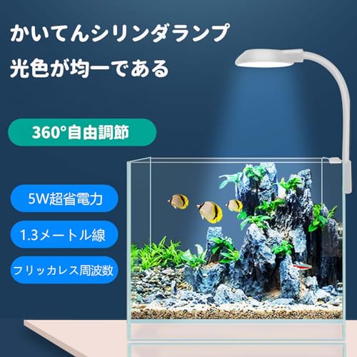 クリップライト 2