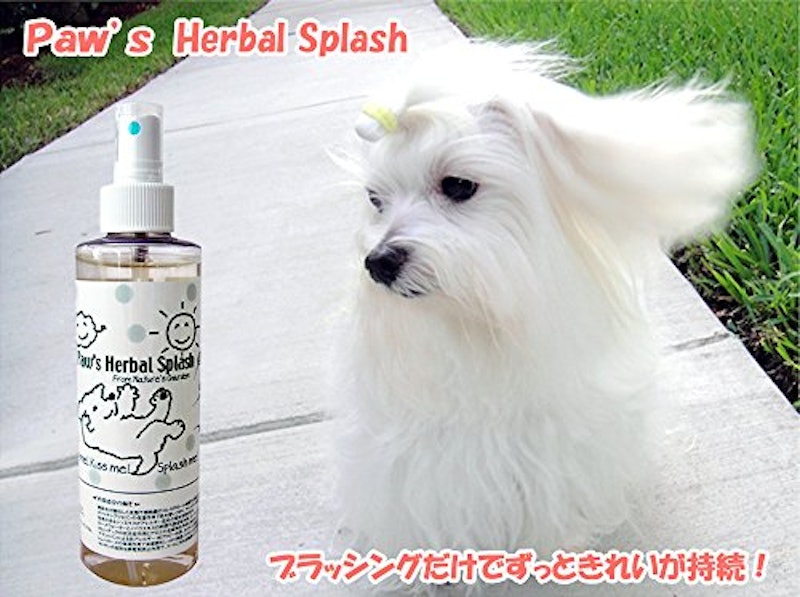 21年 犬用グルーミングスプレーのおすすめ人気ランキング10選 Mybest 21年 犬用グルーミングスプレーのおすすめ人気ランキング10選 Mybest
