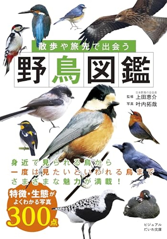 散歩や旅先で出会う野鳥図鑑 1