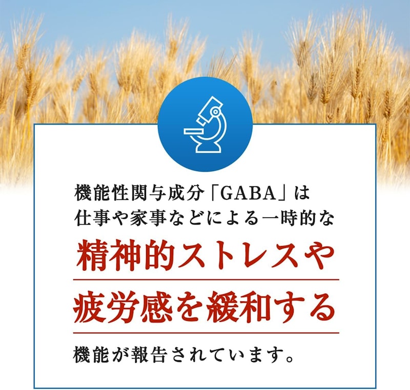 伝統にんにく卵黄 極 9