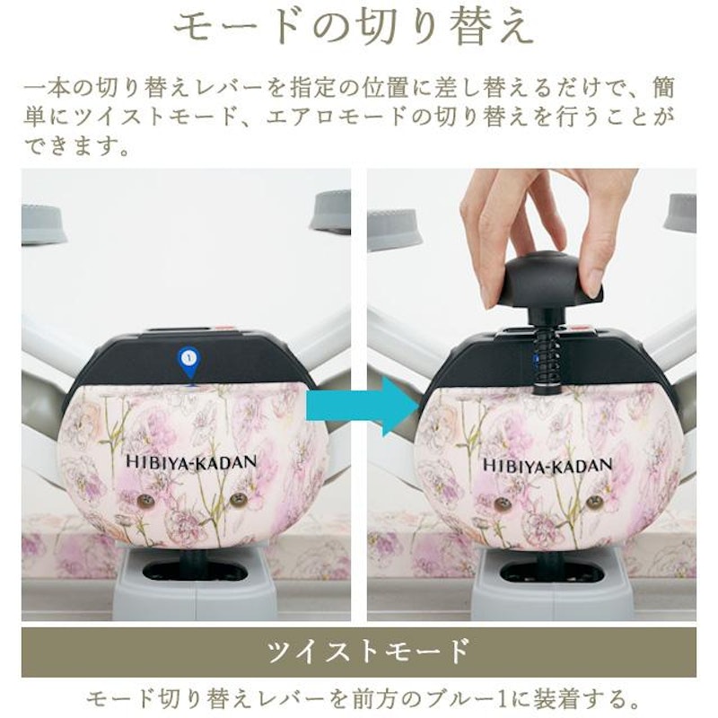 ツイストエアロステッパー Premium 13
